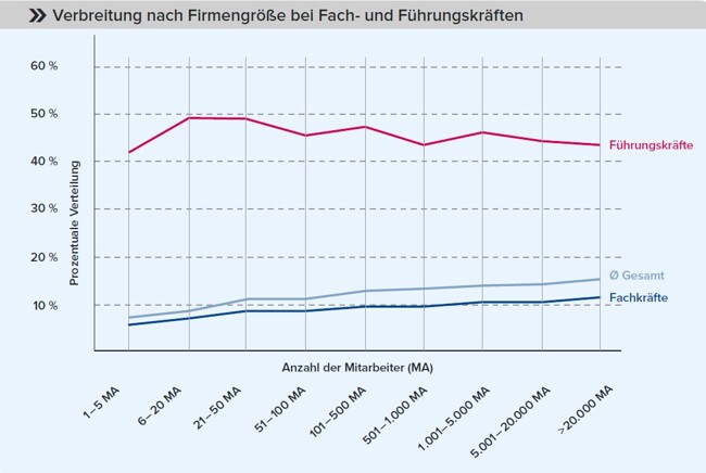 Firmenwagen nach Firmengröße